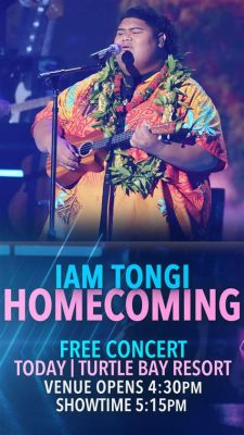  The Homecoming Concert: Celebrating a Nigerian Superstar's Return to His Roots